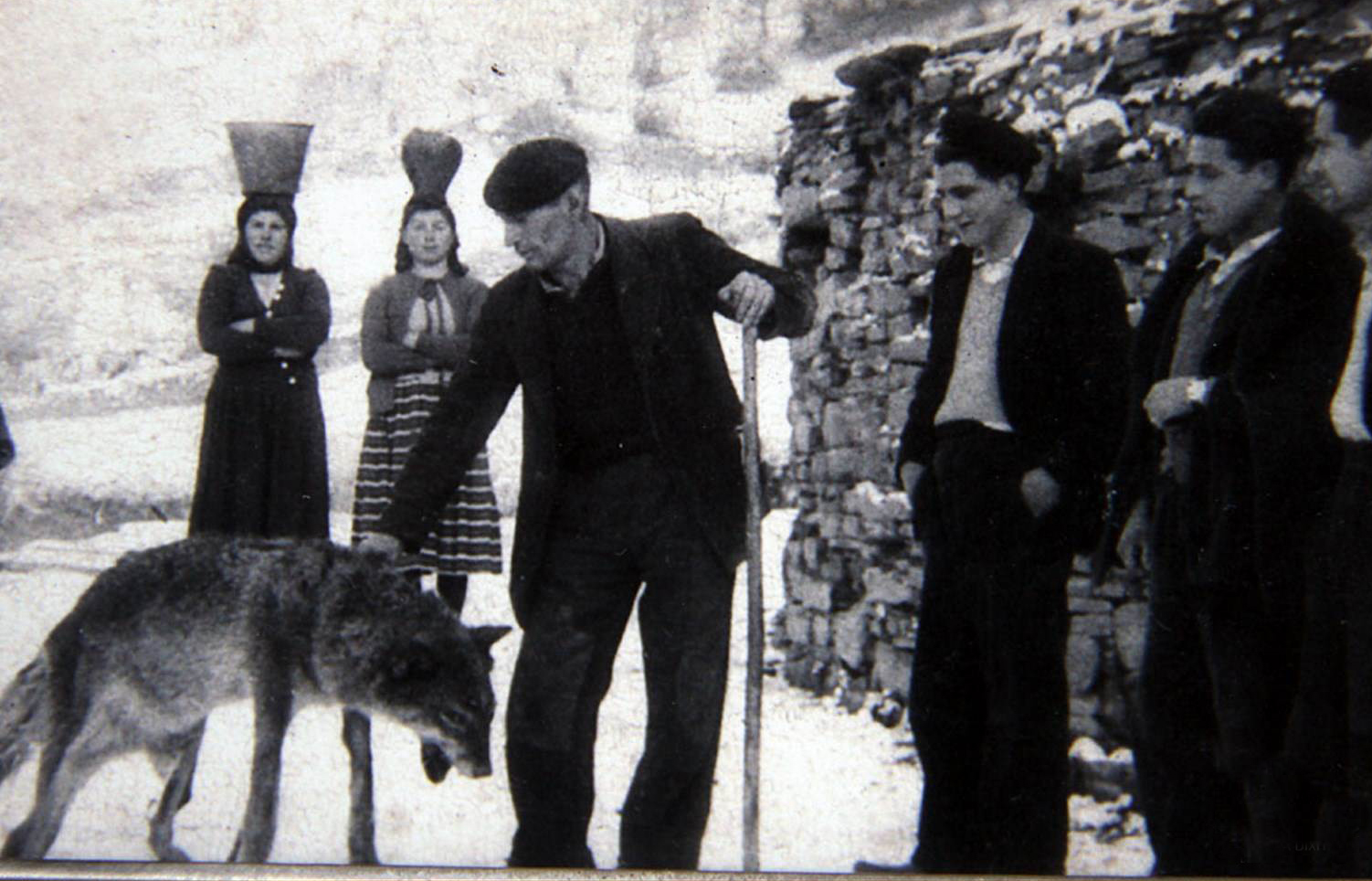 Nesta fotografía, tomada en Becerreá no ano 1945, cedida polo Fogar Residencial O Cereixal (Becerreá), vemos un lobo entre os veciños, algo excepcional ao tratarse dun animal que escapa da presenza dos humanos. En segundo plano, dúas mulleres sosteñen na cabeza un balde e un cántaro, no que transportaban a diario a auga ás súas casas, un traballo tradicionalmente feminino.