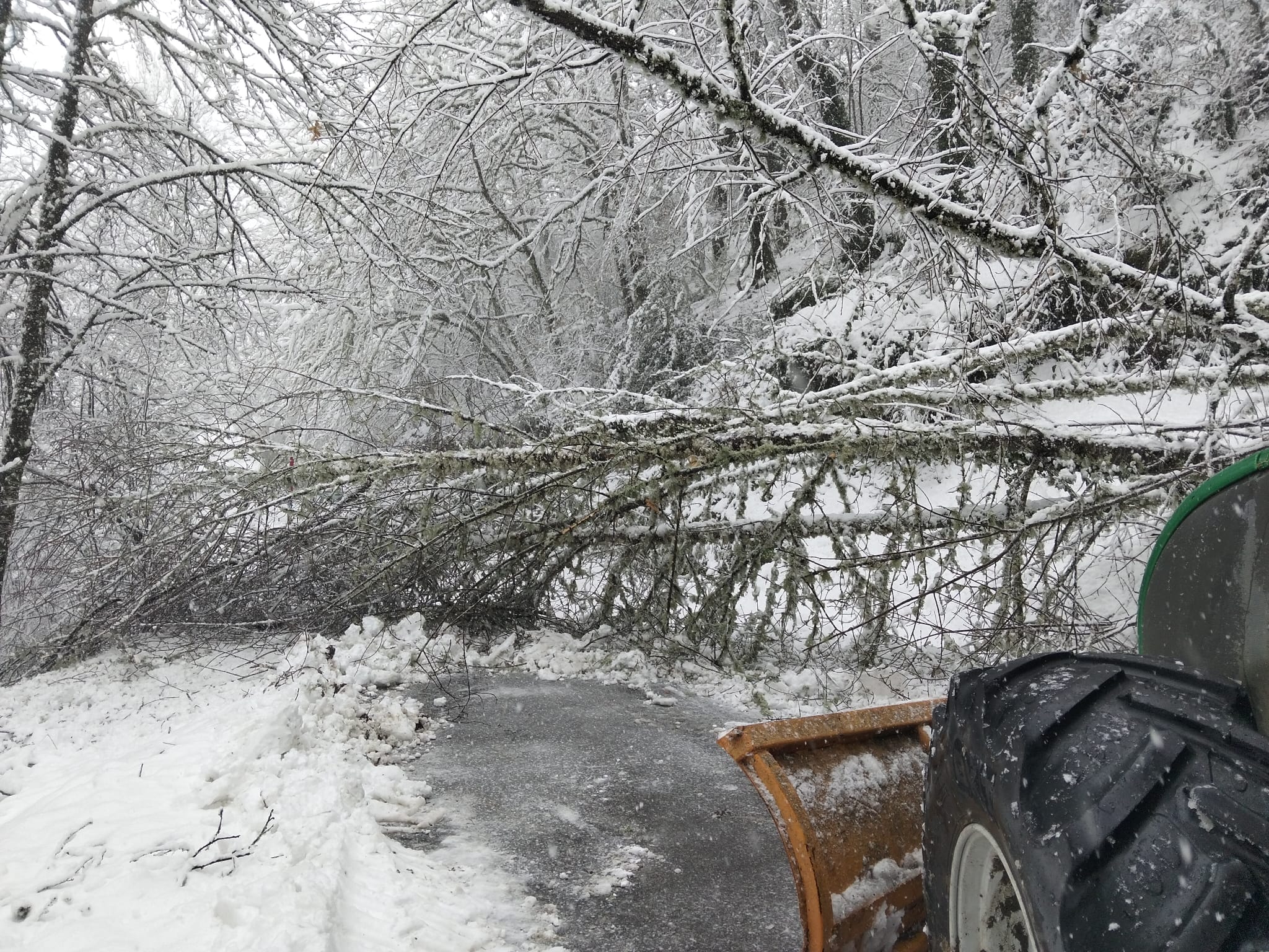 Estrada á altura de Pacios