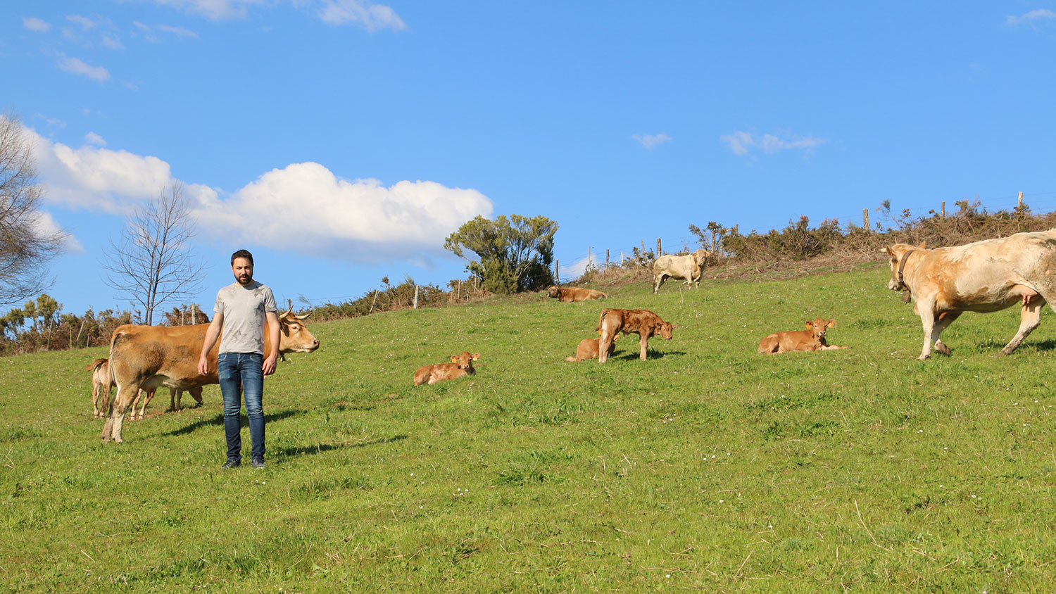 Cooperativa a Carqueixa