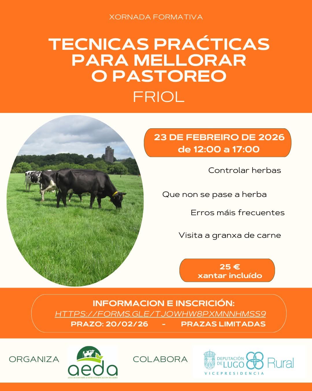 Programa xornada Friol