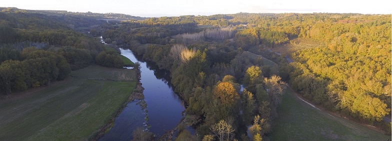 Bosque da Fervenza - O Corgo