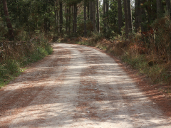 Sombra no camiño - Belen Reija Otero