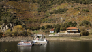 Catamarán